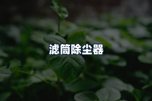 滤筒除尘器